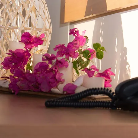 Ampelia Seaside Геннади