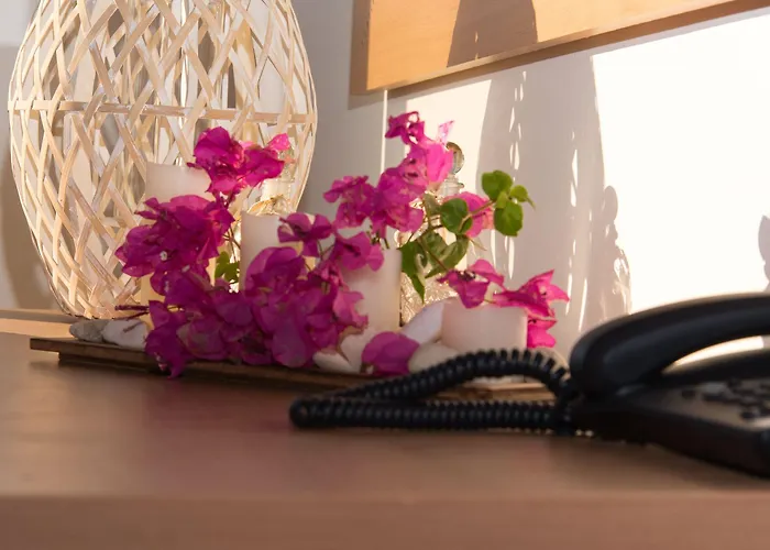 Ampelia Hotel Jenadi